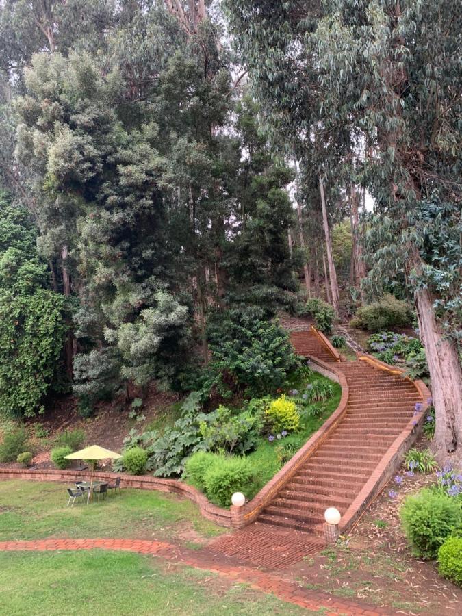 Hotel Bosque De Renaca Vina del Mar Dış mekan fotoğraf