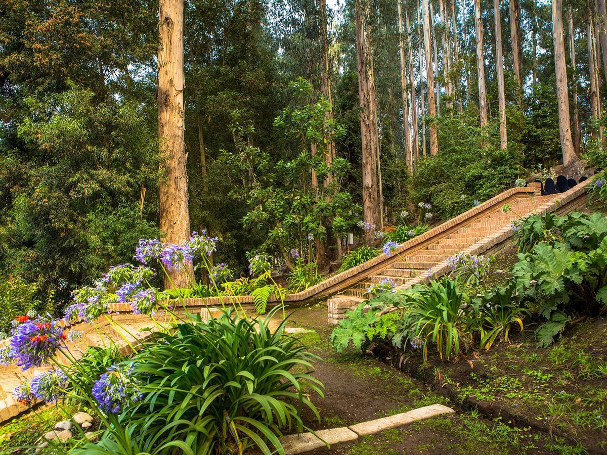 Hotel Bosque De Renaca Vina del Mar Dış mekan fotoğraf