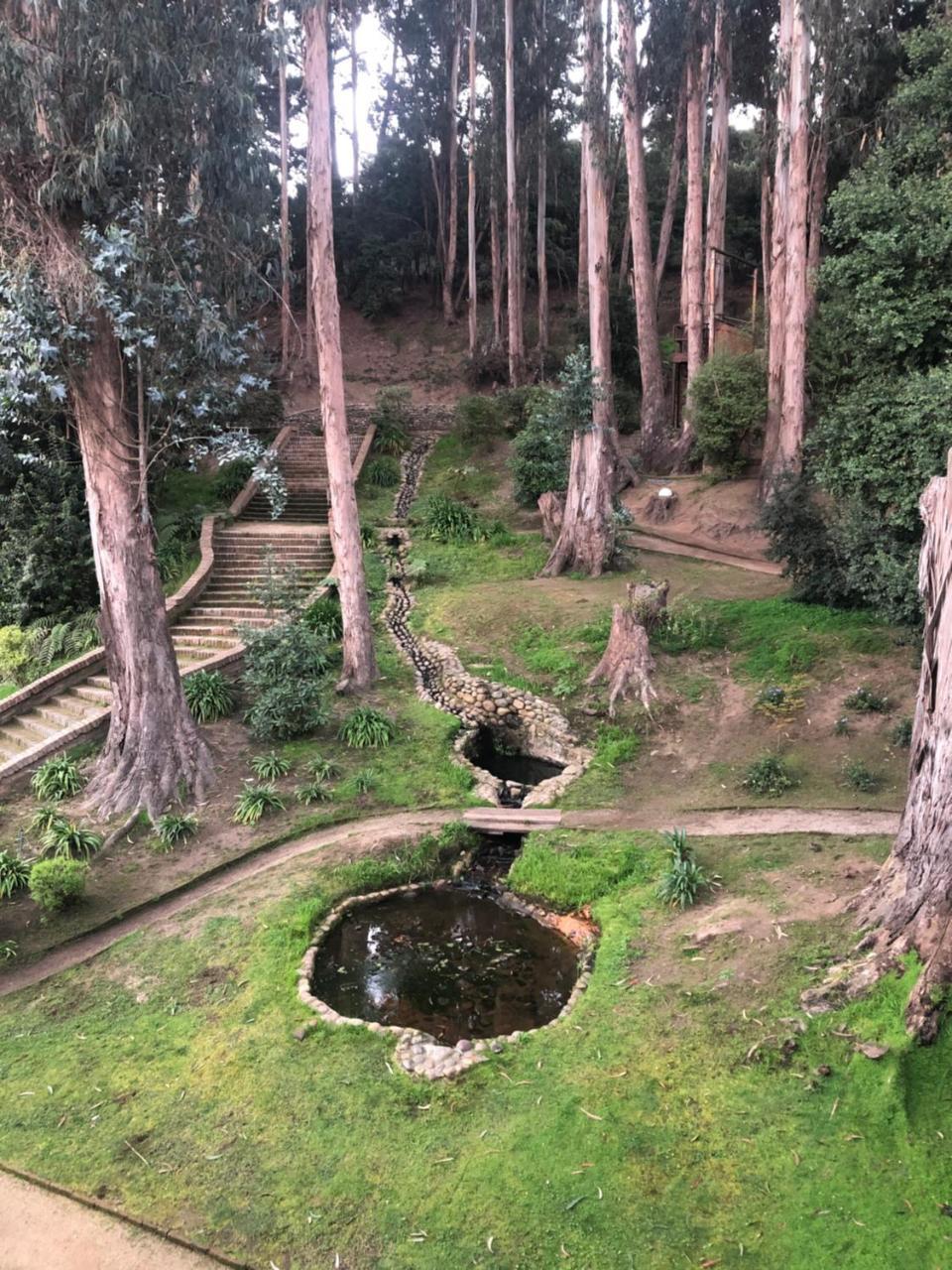 Hotel Bosque De Renaca Vina del Mar Dış mekan fotoğraf