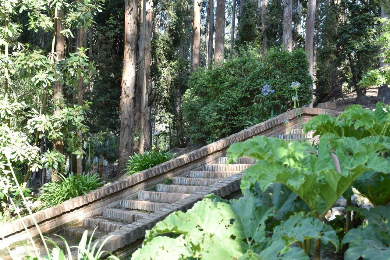 Hotel Bosque De Renaca Vina del Mar Dış mekan fotoğraf